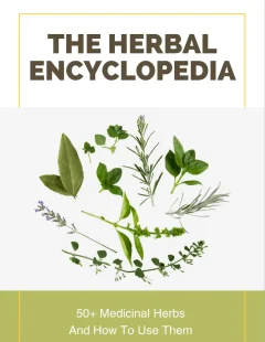The Herbal Encyclopedia PDF cover